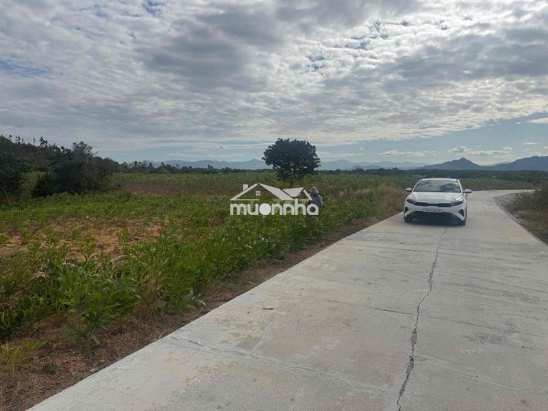 Cần bán đất ninh thuận