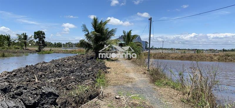 Bán đất view sông vàm cỏ tây thủ thừa long an
