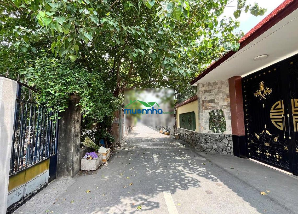 Nhà 160m² đường nhựa gần lê thị kim. xuân thới sơn. dt 5,5 x 35 - 3