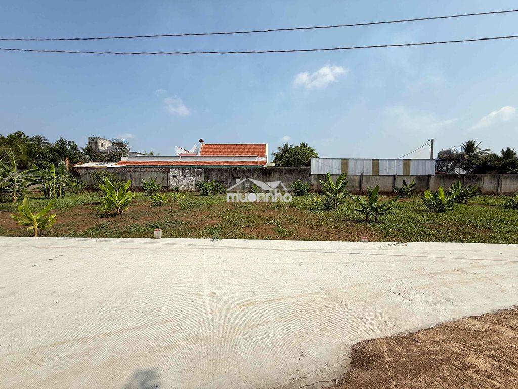 Bán đất trung tâm long khánh - tp- đồng nai - 3