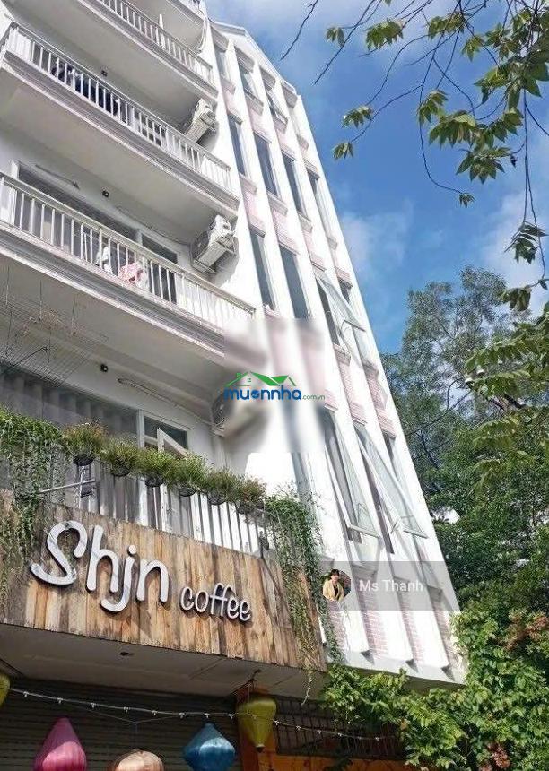 Bán gấp đi định cư, ngang to đẹp nh 6,9m x 26m, hầm, 4 tầng, gần ngã 4 phú nhuận - 3