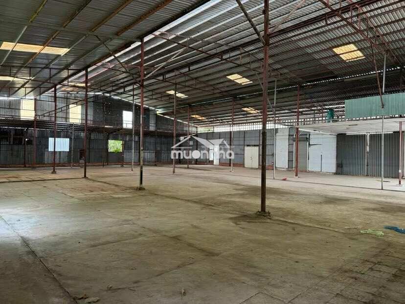 Cho thuê kho 850 m2 có điện 3 pha đường phạm hùng 20 triệu - 2