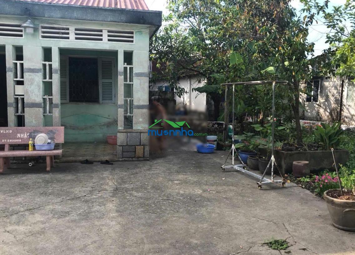Nhà vườn cực đỉnh - thông số lý tưởng 22x35m - vị trí đẹp gần mặt tiền - shr thổ cư - 3