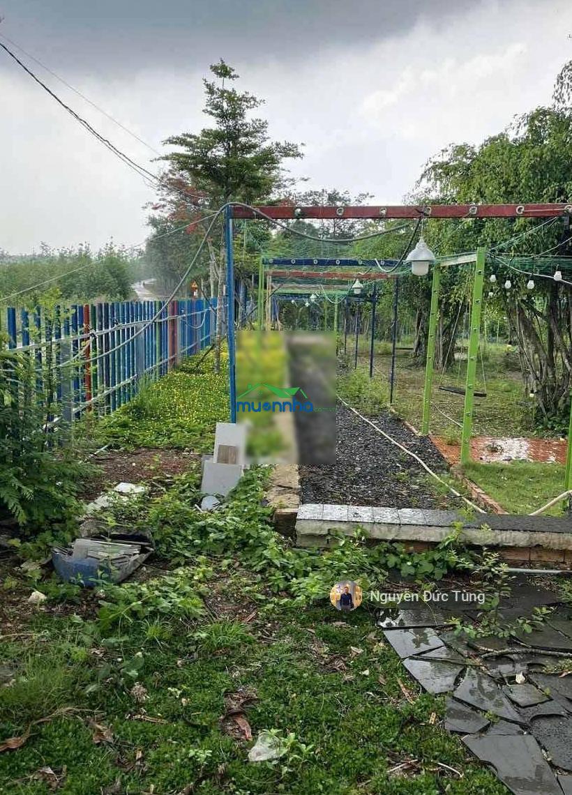 Bán nhà rộng, 12x44=546m2, phước thạnh, củ chi, gần ngã quốc lộ 22, sổ riêng, 960tr - 3