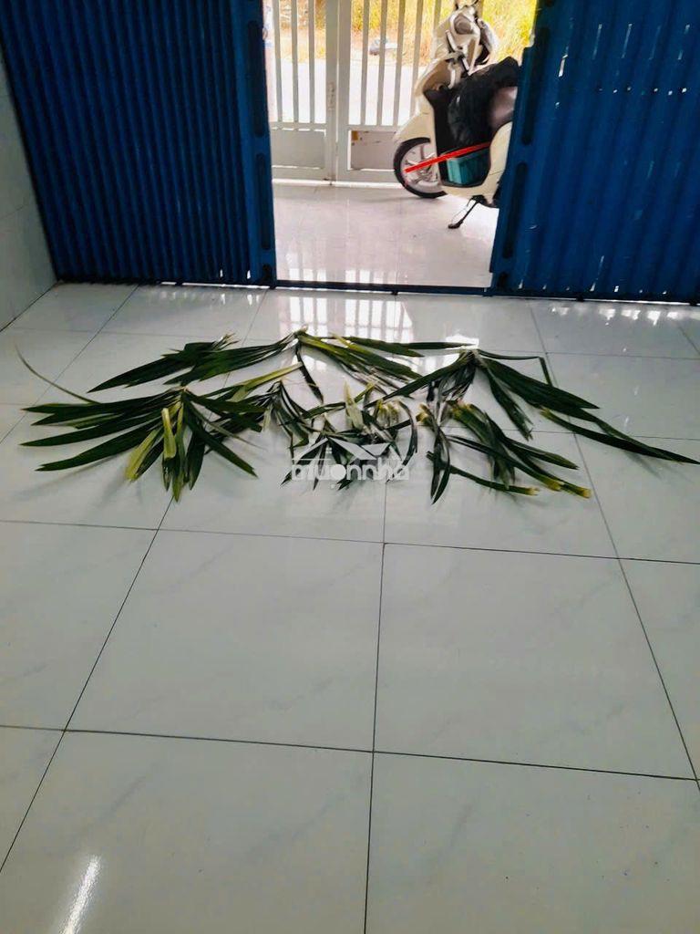 Cho thuê nhà phường bửu long giá 6 triệu