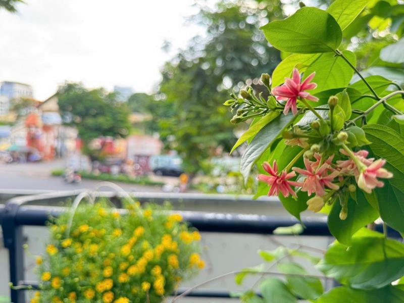 Cho thuê căn hộ penthouse sân vườn cây xanh, full nội thất xịn – xô viết nghệ tĩnh, bình thạnh (gần q1, q2) - 4