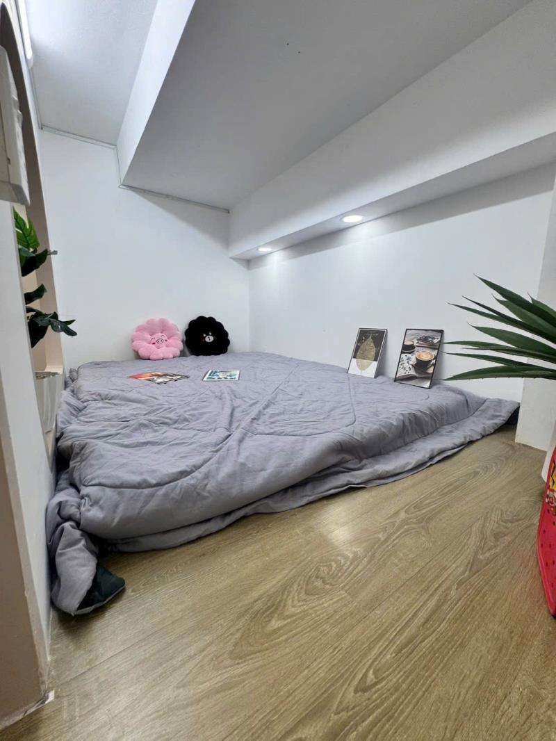 Cho thuê căn hộ tân bình - duplex 2 pn tách bếp full nội thất - 0926051663 - 4