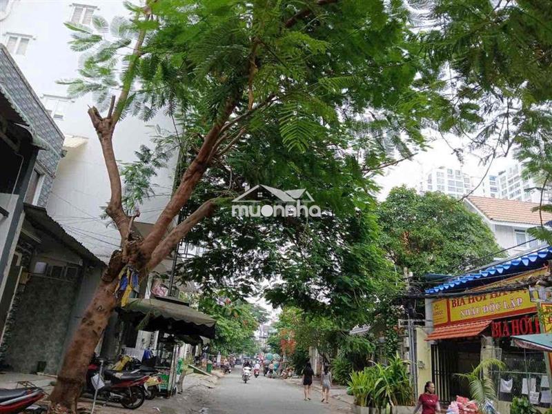Mặt tiền trần thị liền , lđh khub, dt: 10x15 .1 trệt 2 lầu . 18,8 tỷ