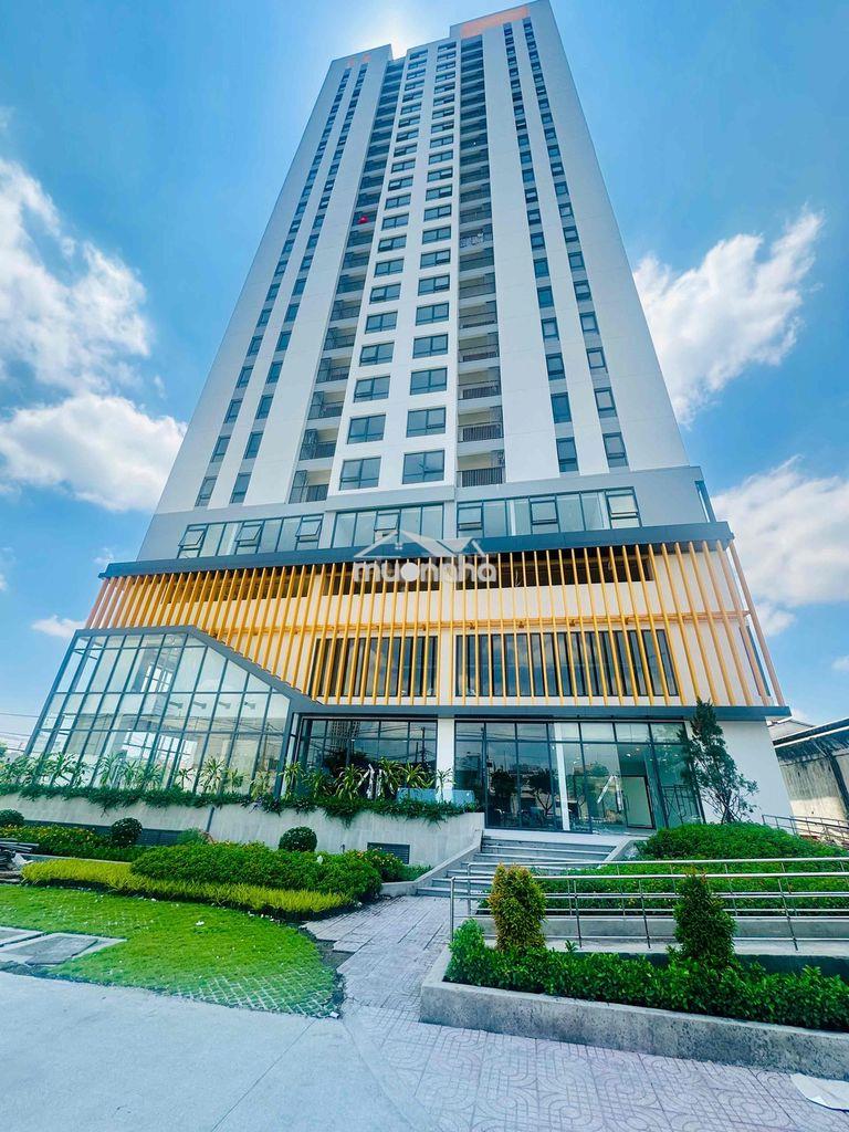 Giỏ hàng cho thuê căn hộ aurora với nhiều diện tích giá tốt tháng 7 - 2