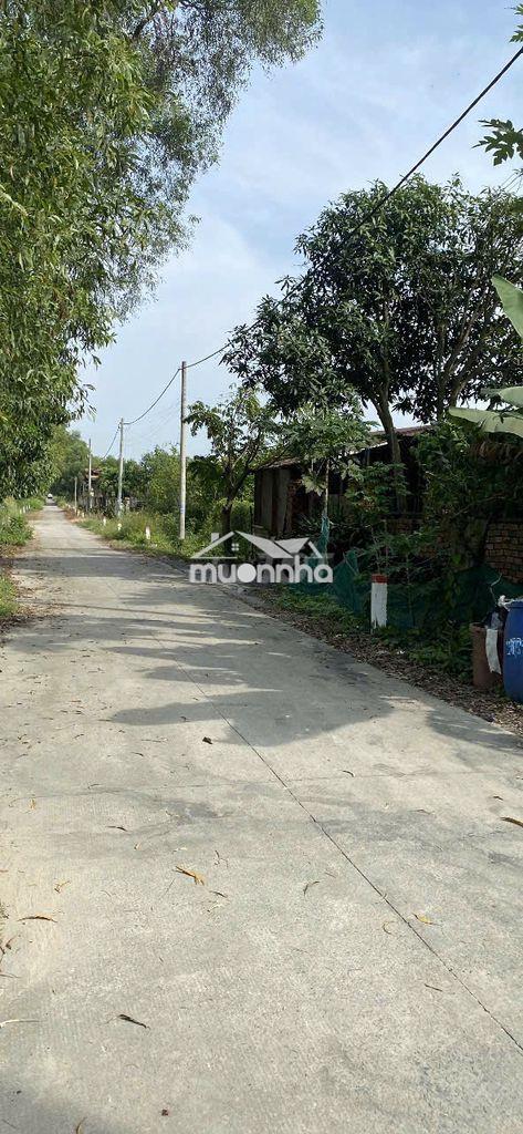 Cần bán gấp đất bình mỹ, củ chi - 3