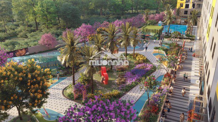 Bán nhanh 2pn bcons solary giá siêu mềm