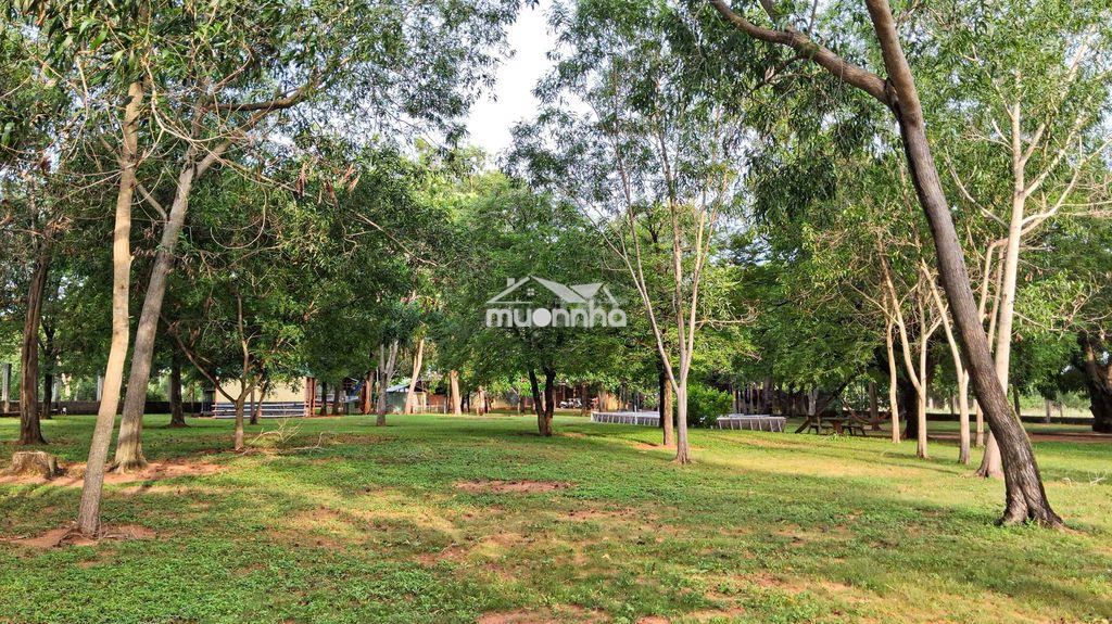 Chính chủ chuyển nhượng khu đất đã đầu tư hạ tầng - 6.222,4m² - mũi né - 3