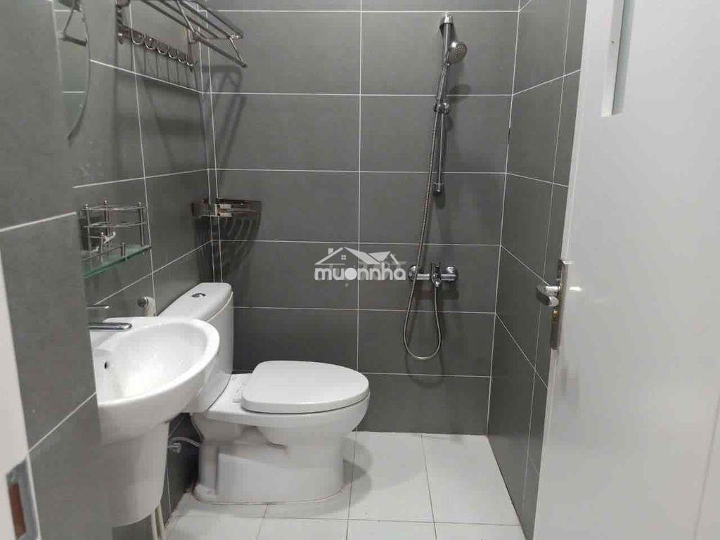 Cho thuê nhà merita liên phường 7x17 m chỉ 22 tr - 4