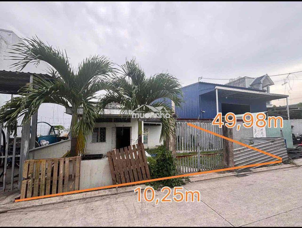 Đất an phú đông bán từ xử lý nợ dư nợ 12ty bán 11ty gấp - 3