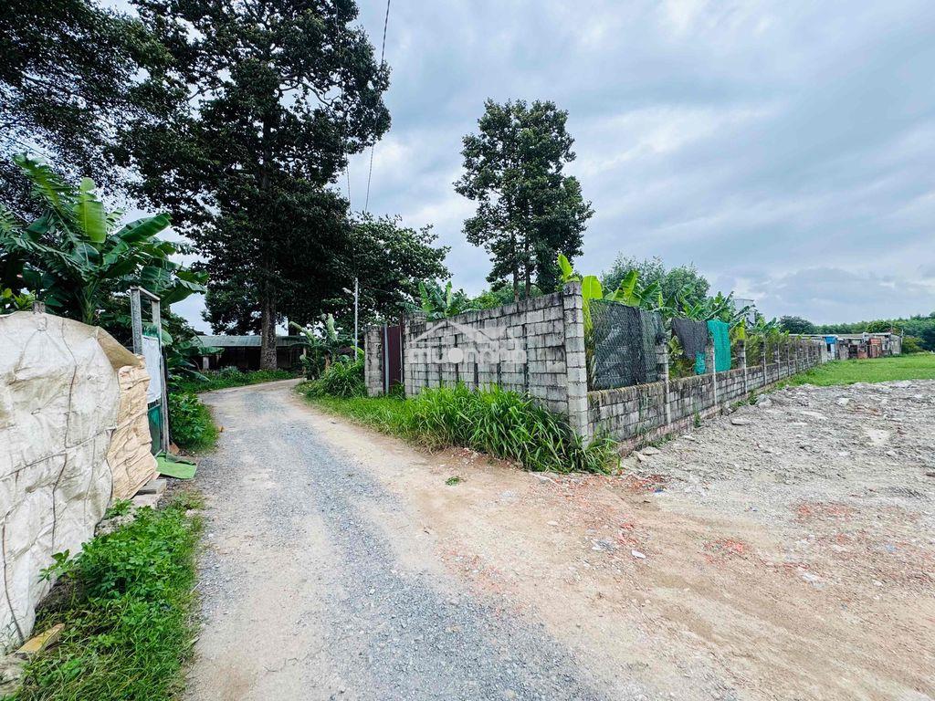 Bán gấp lô đất (162m²) 1 sẹt dt768 - gần chợ tân bình, bách hóa xanh - 3