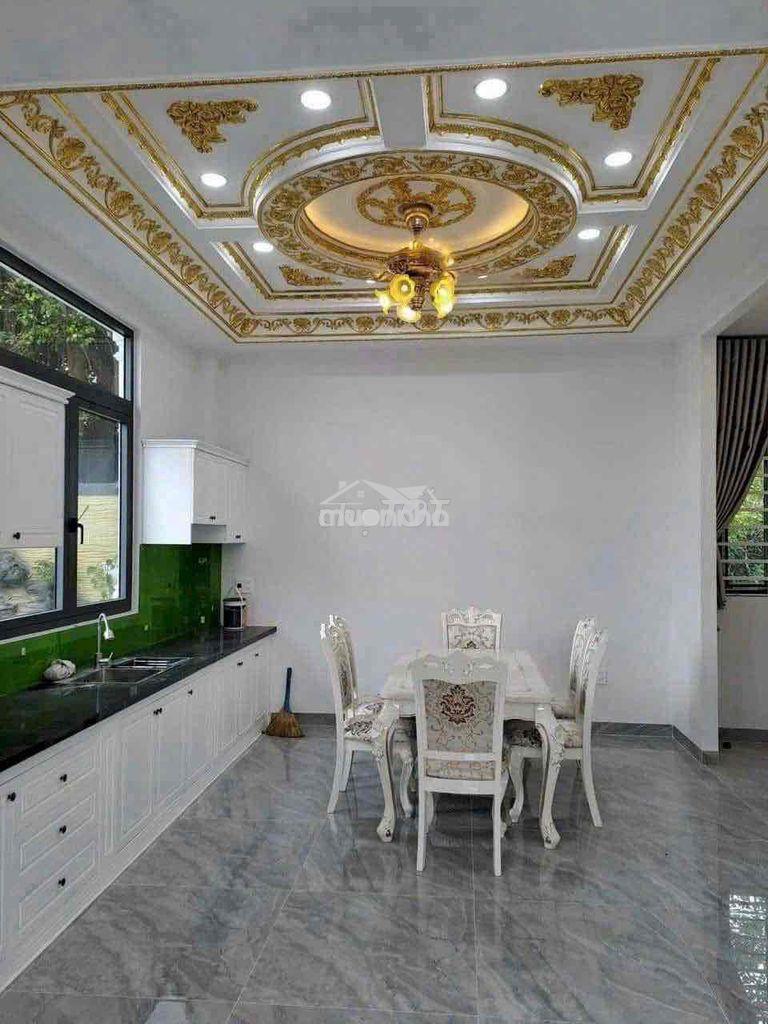 Nhà mái thái mới 100% 1/nguyễn chí thanh vào 30m.nhựa 4m - 2
