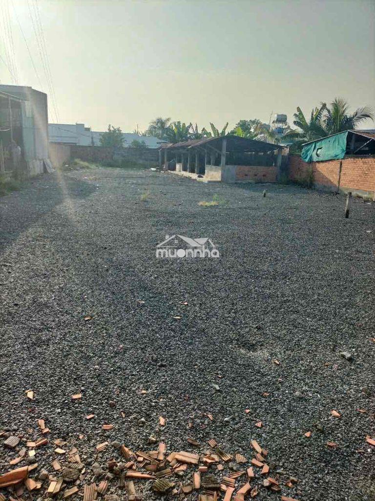 Chính chủ cần bán lô đất nghĩa hậu, tây ninh (mới)