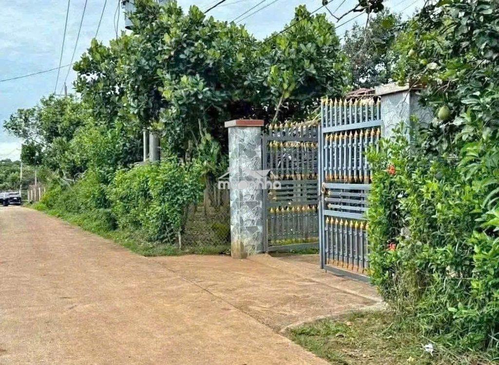 Chính chủ bán ngộp nhà cấp 4, vườn cây trái rộng 2600m2, giá 650 triệu - 3