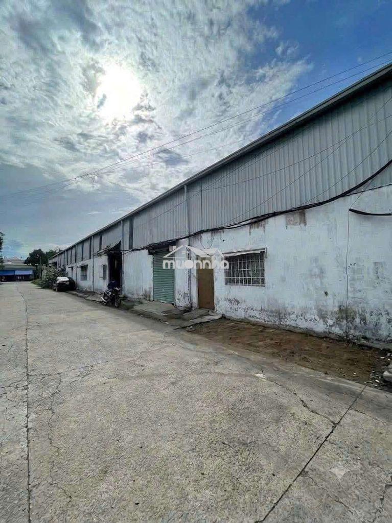 Cho thuê xưởng phú lợi thủ dầu một 1150m2 có 3 fa hạ bình  - 2