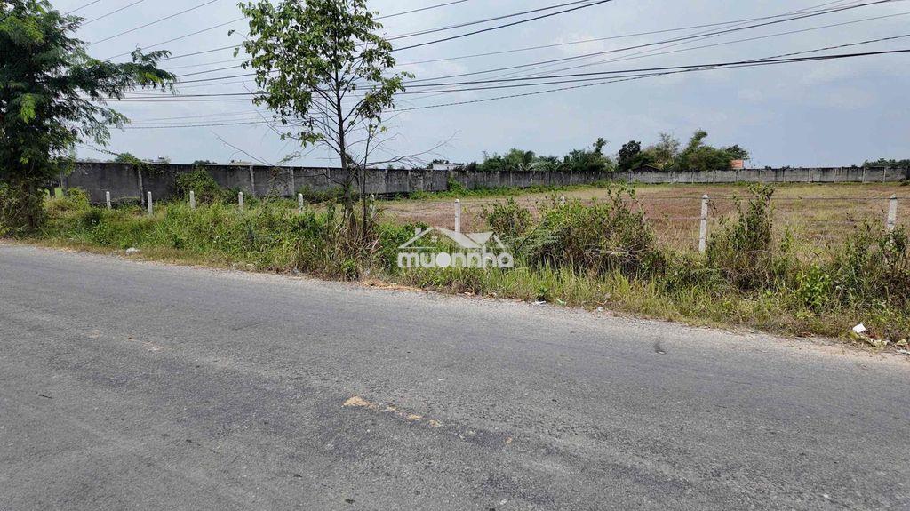 Chính chủ gửi bán 46m mặt tiền nhựa bàu sen - 2