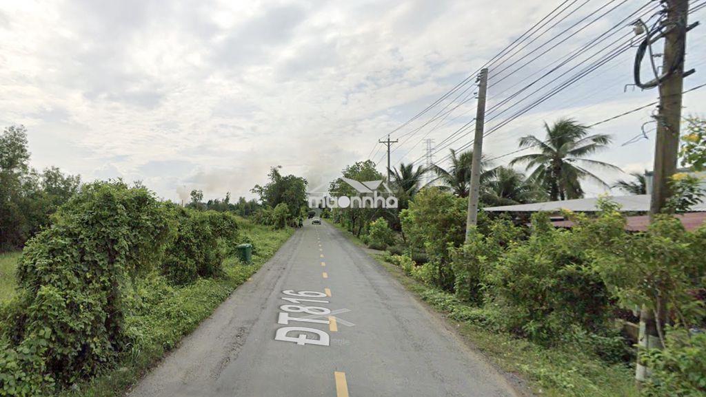 Bán gấp lô đất 10.000m² (1 hecta) tại bến lức - long an giá 4,3tỷ - 2