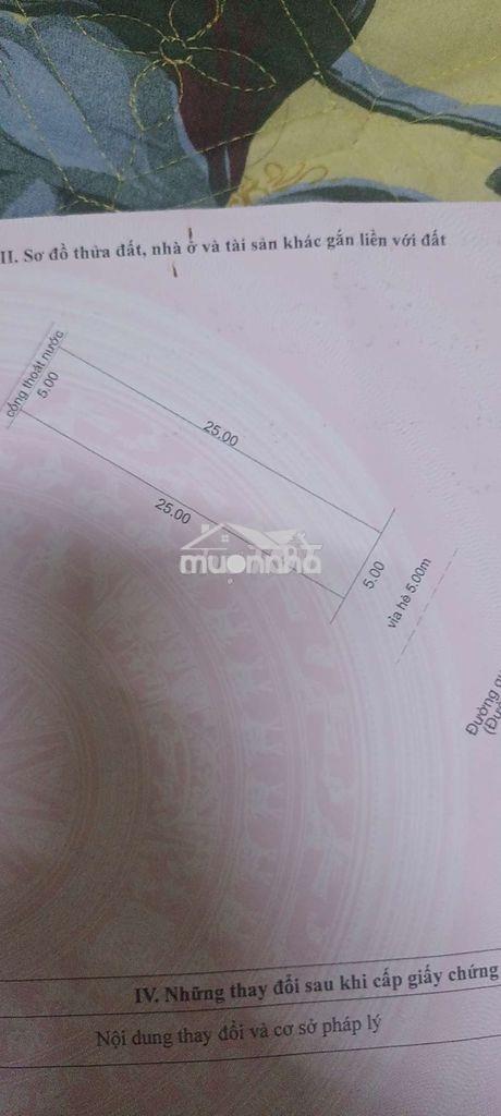 Bán lô đất 5×25 đường 15m. hướng nam - 2