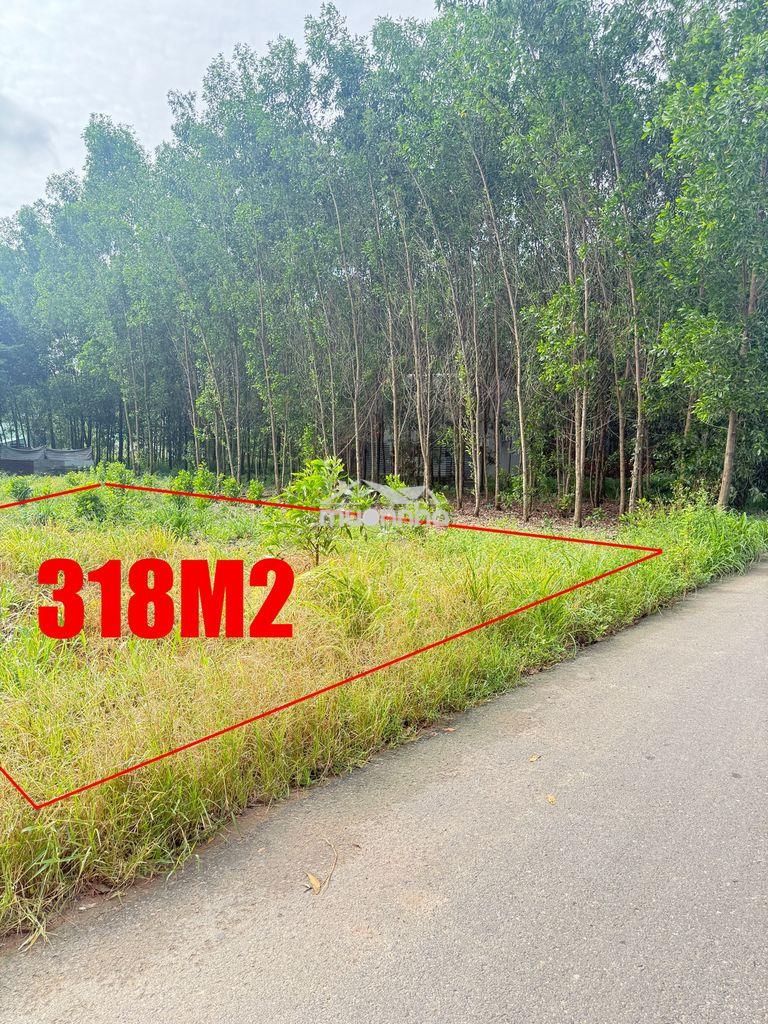 Đất rộng 318m² tại an viễn - trảng bom - 3