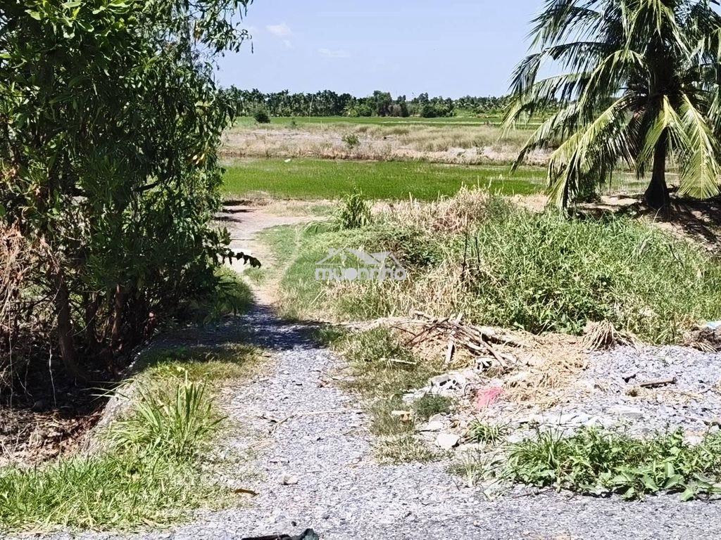 Bán đất kênh 9 (võ văn kiệt) lê minh xuân, bình chánh - 2