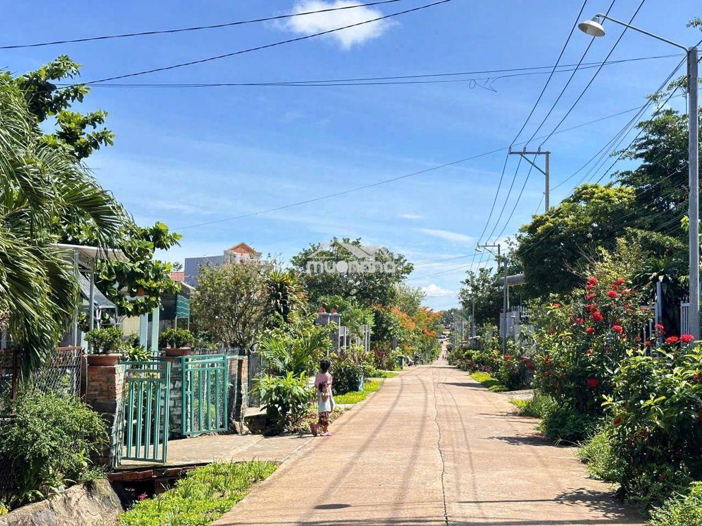 🔥Lô đất vườn cây ăn trái bốn mùa tại gần dầu giây giá chỉ 1.3 tỷ/sào - 2