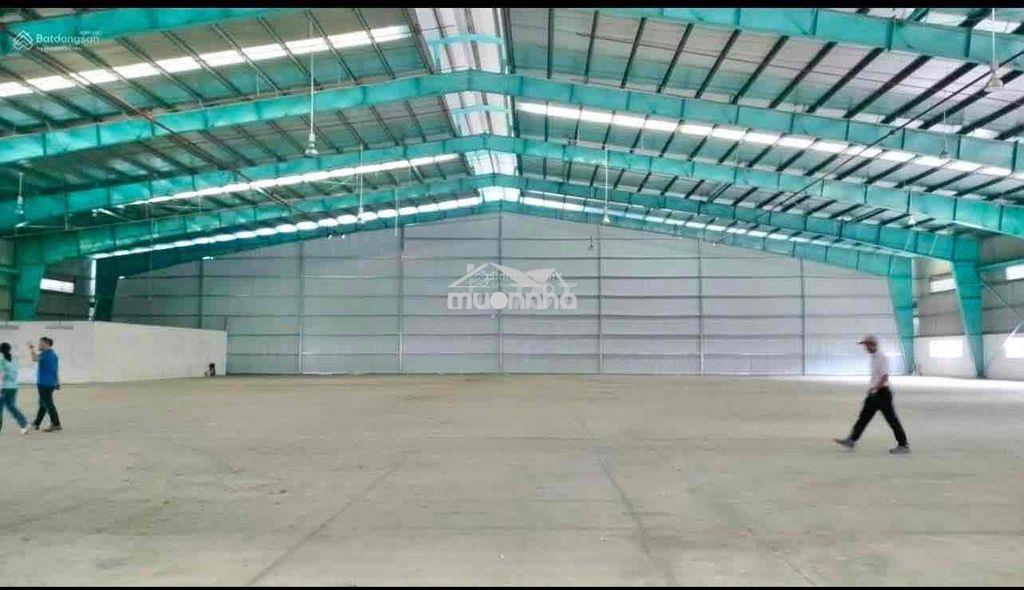 Cho thuê kho đẹp, hiếm có khó tìm, giá tốt, pccc tự động, đường cont - 3