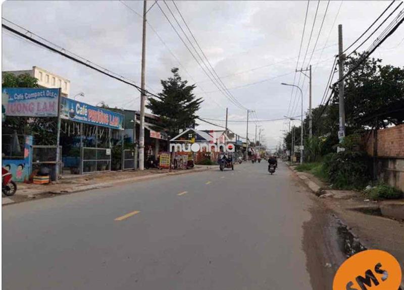 Chính chủ bán 350–400m² đất vườn có sổ – đường bê tông – sơn đông
