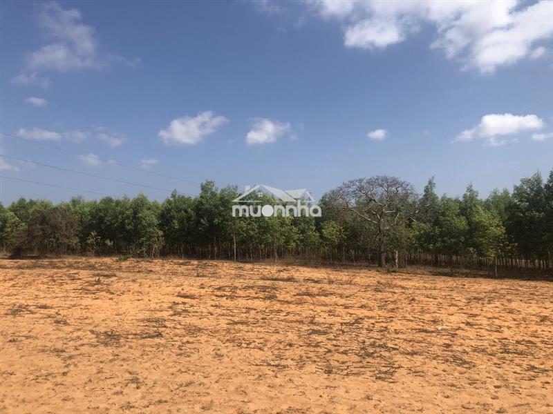 Đất xã hòa thắng, phan thiet, bình thuận, vietnam