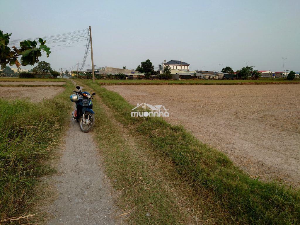 Bán đất thổ cư đấu lưng 823d, xã đức hòa đông  - 2