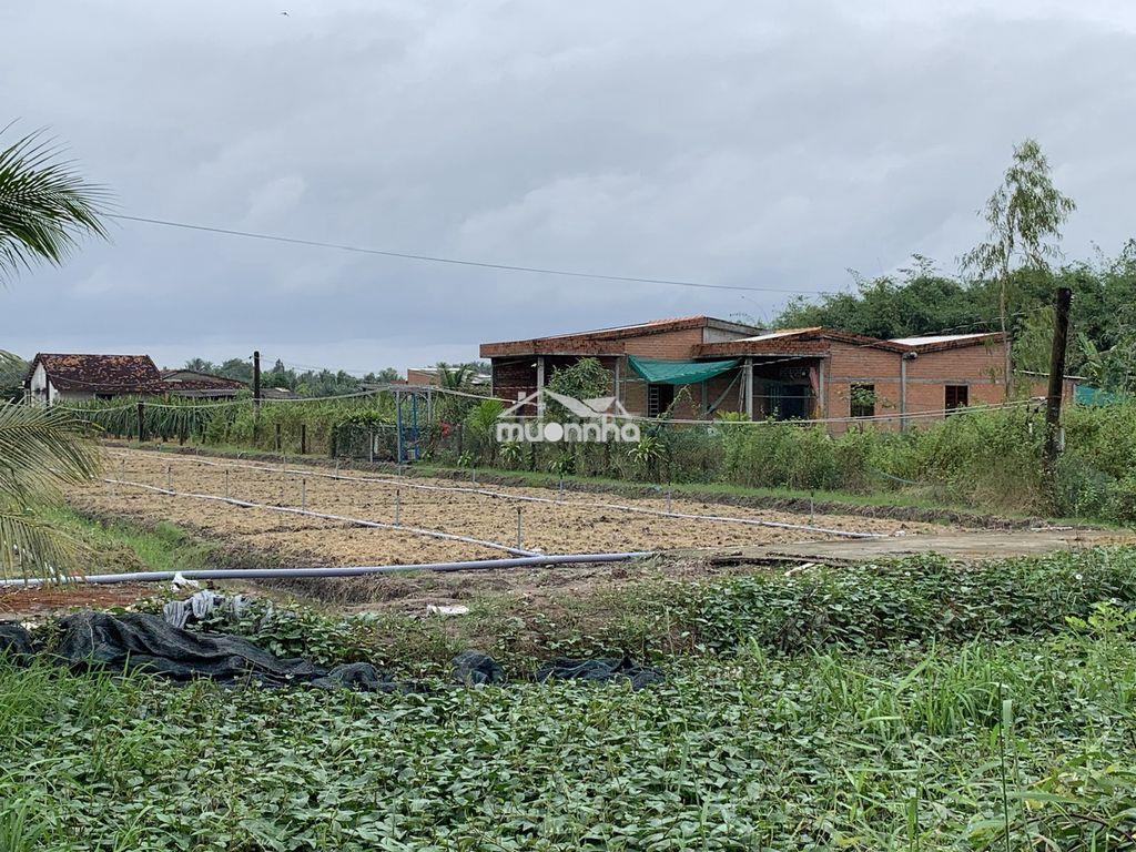 1000m2 đất long an chính chủ, khu dân cư, trường, chợ, ubnd, thổ cư. - 2