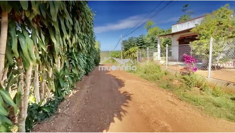 Bán đất 1 hecta-ccn bù nho 75hec-phú riềng đồng nai-cách đt 741 - 200m