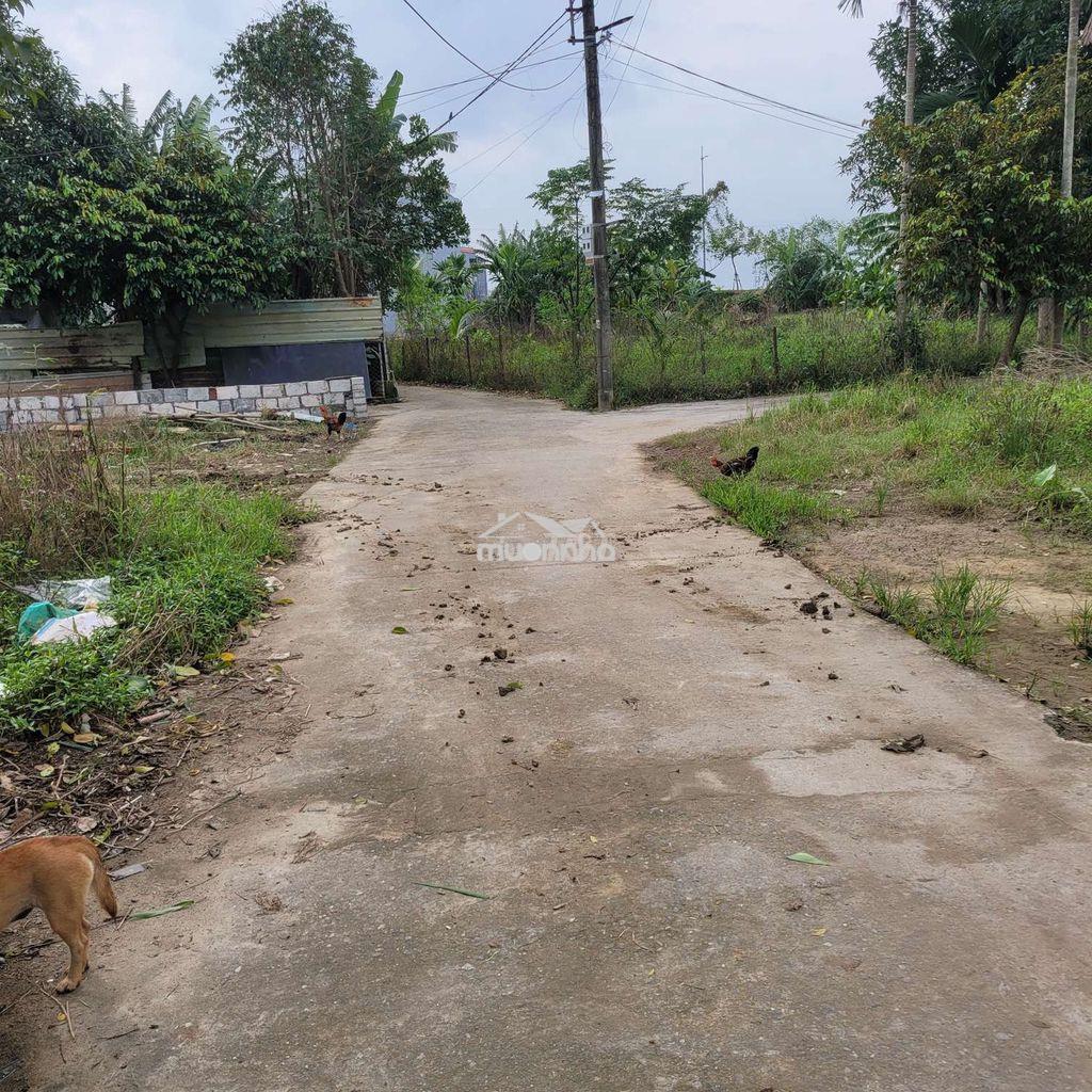 Bán đất trước chợ hòa thọ tây cẩm lệ đà nẵng - 2