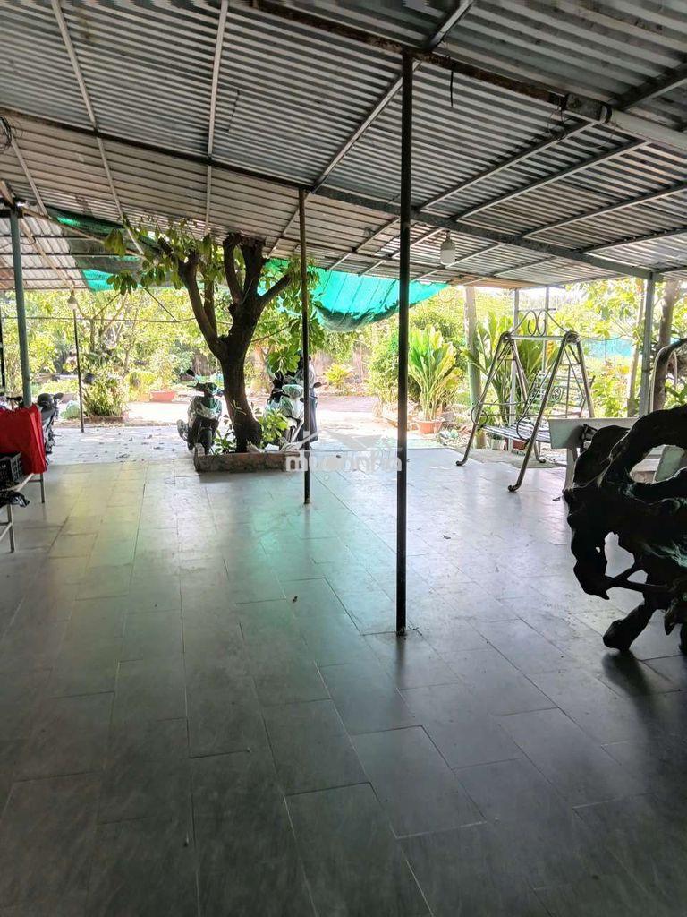 Cho thuê p rẻ nhất bình chánh - 3