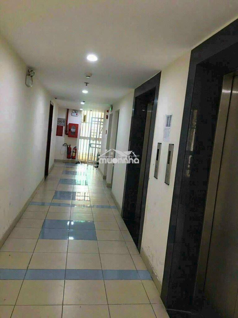 Hót căn hộ cc đông hải 54m2 2pn / 2wc shr - 2