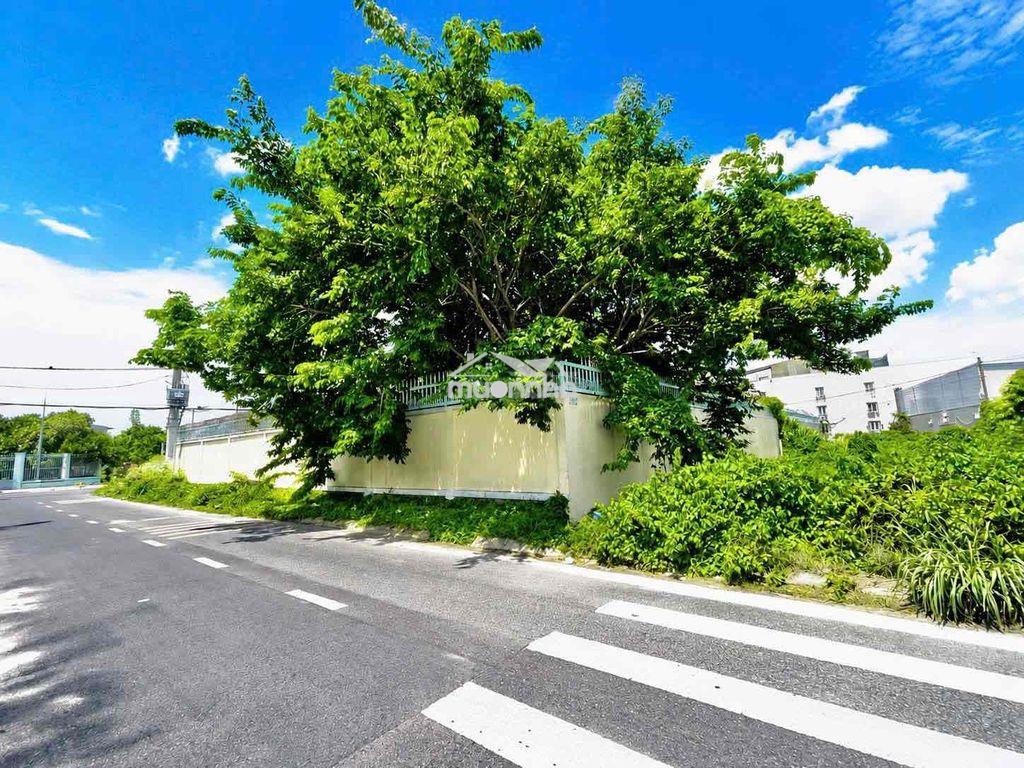 🚨🚨 Sốc nặng củ chi!!! 323m² chỉ 400 triệu – giá ngộp khó tin! 🚨🚨 - 3
