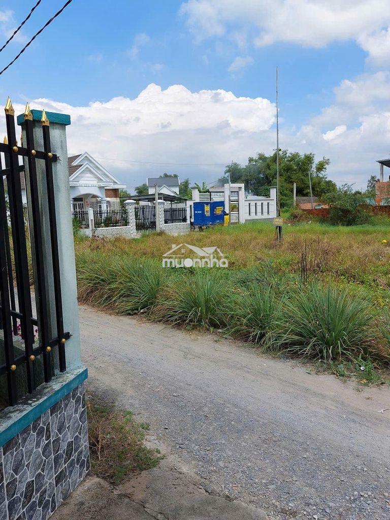 Bán 164m2 thổ cư đường nhựa 6m, 2 lô đất vườn đường đá 4m, cần giuộc - 3
