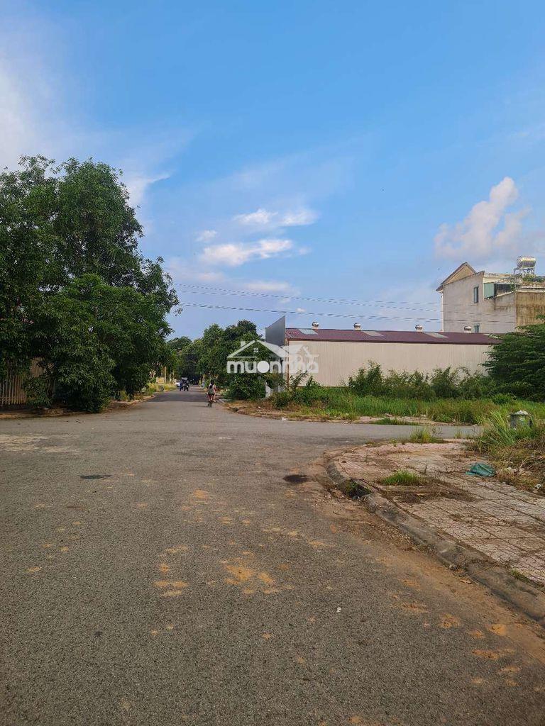 🏡 Bán đất kdc lavender – phường tân triều, tp. đồng nai
📍 lô a8/3 - 4