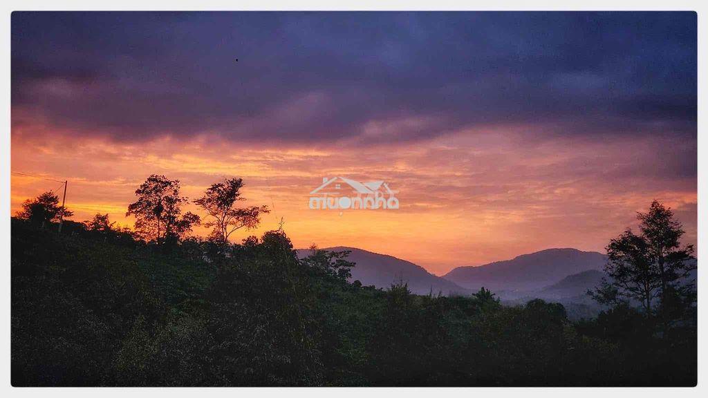 Đất bảo lộc view săn mây - 2