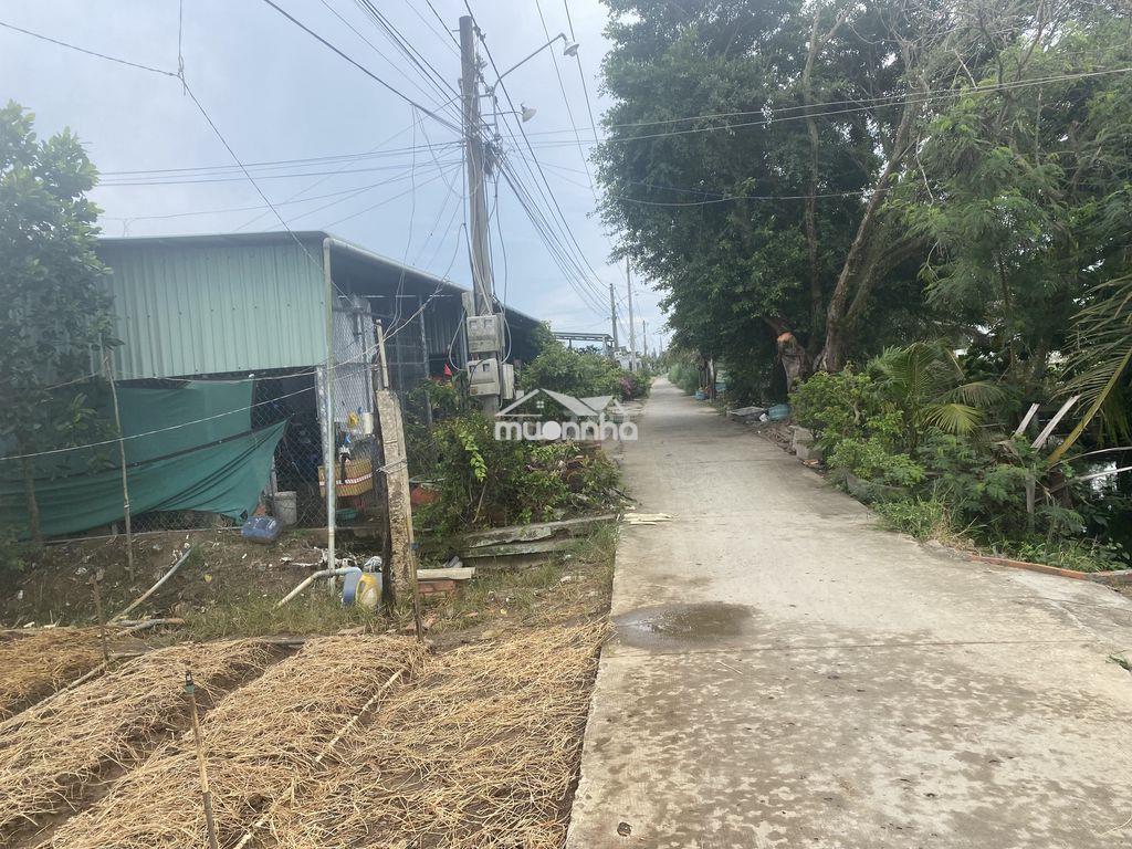 Bán đất mặt tiền đường xe hơi xã bình nghị gò công đông - 3