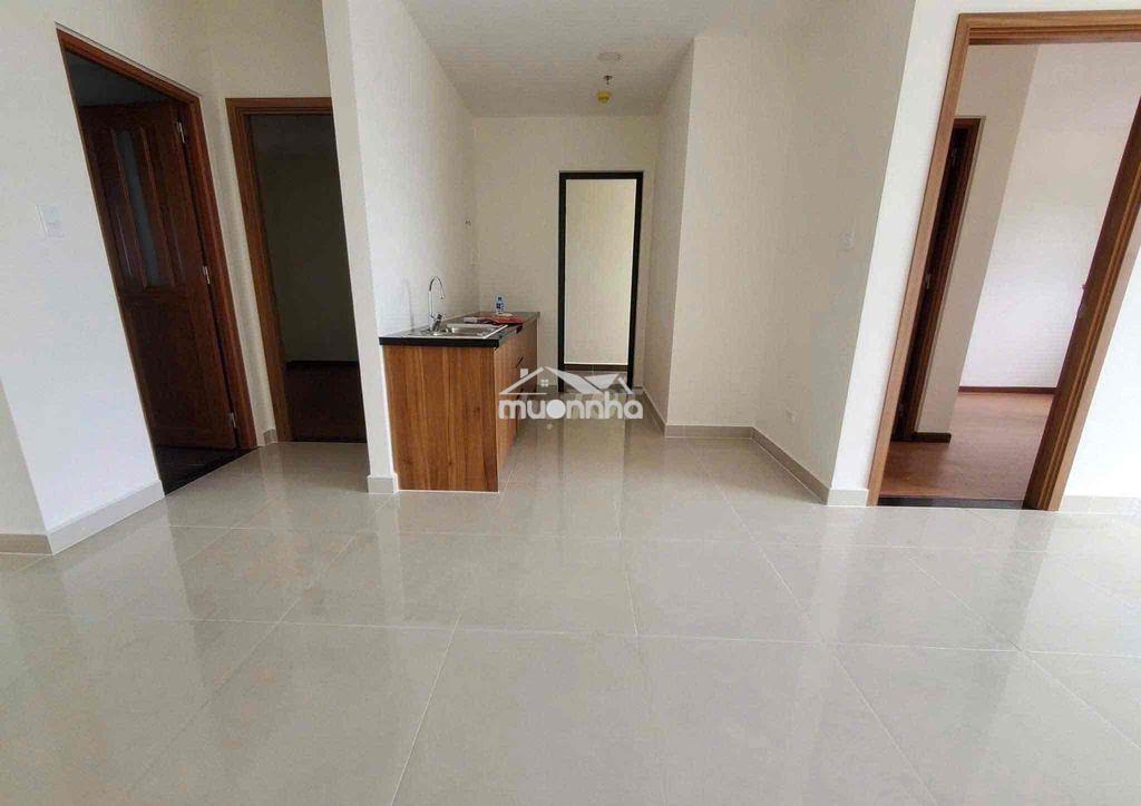 Cho thuê chung cư minh quốc plaza phú mỹ 2pn-2wc - 3