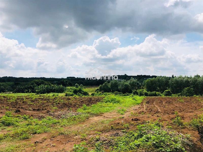 8,2ha đất làm dự án nhà ở thương mại hoặc khu nghỉ dưỡng