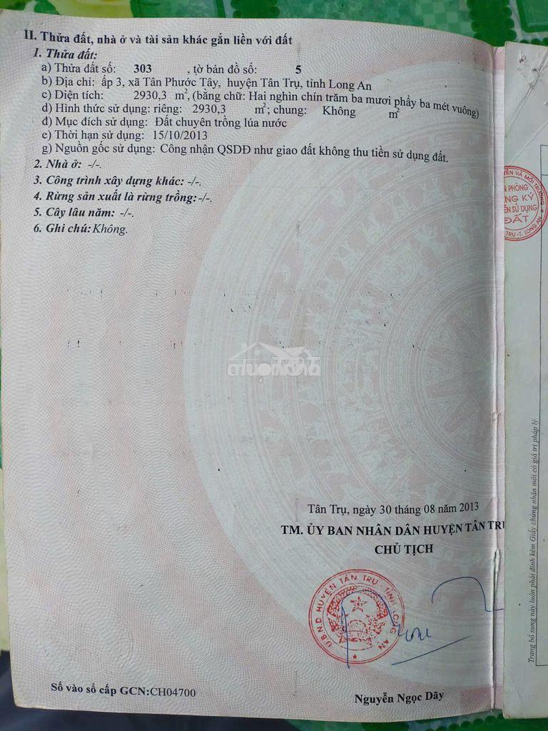 Cần bán 2930 mét vuông đất lúa
