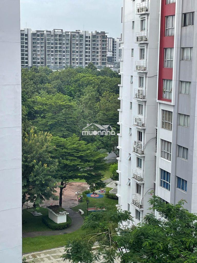 Căn hộ như hình, khu ruby celadon city ngay aeon mall tân phú, ở ngay - 3
