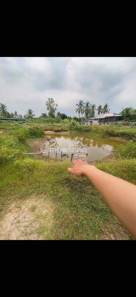 Nhà vườn 3000m2 ( 75m x 40m ) tam đa, q.9 - 2