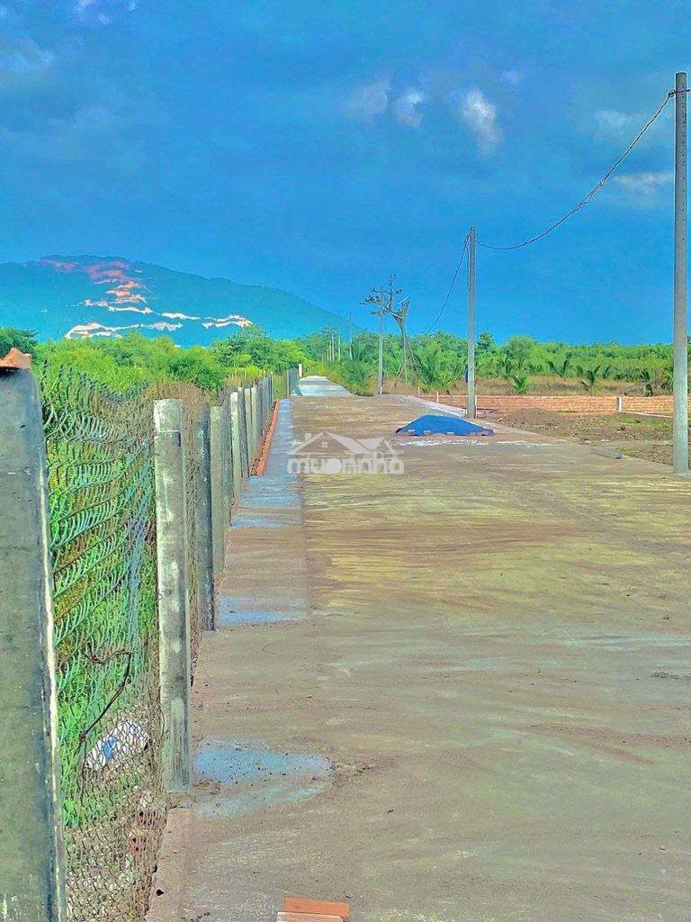 Đất view núi chứa chan đường bê tông 6m có vỉa hè giá rẻ. - 3