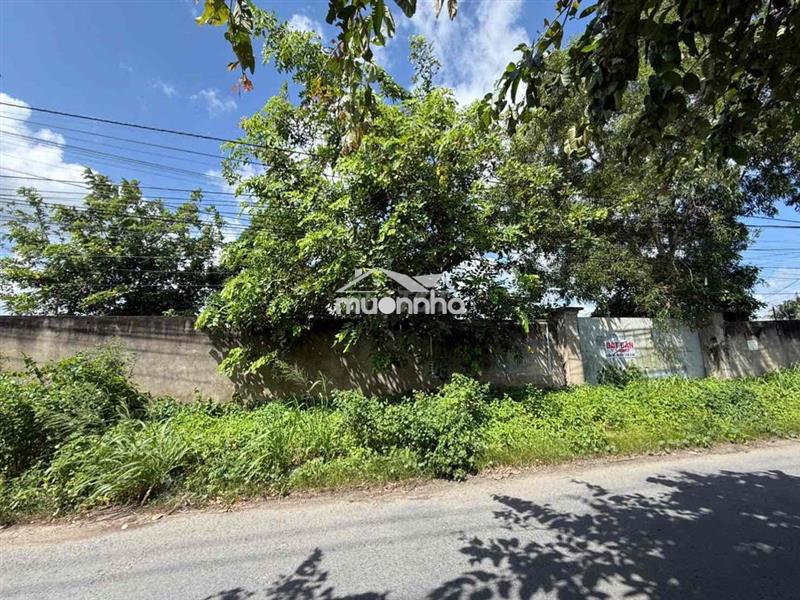 Bán 1500m2 đất mặt tiền kcn giao long